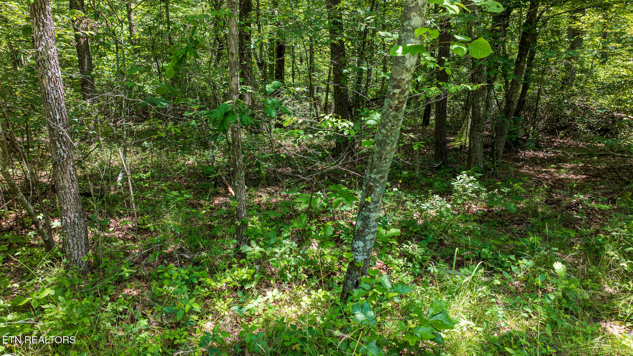 5011 Ostego Drive Crossville TN 38572