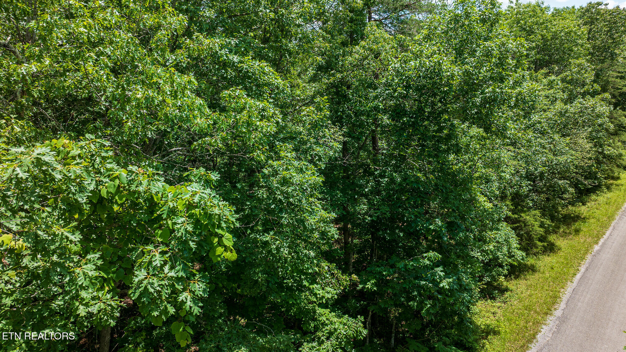 5011 Ostego Drive Crossville TN 38572