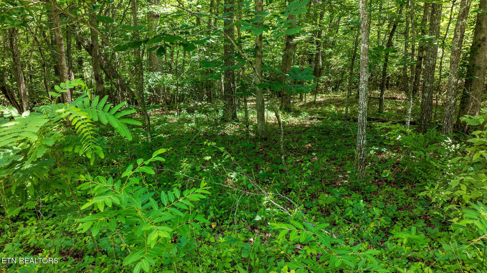 5011 Ostego Drive Crossville TN 38572