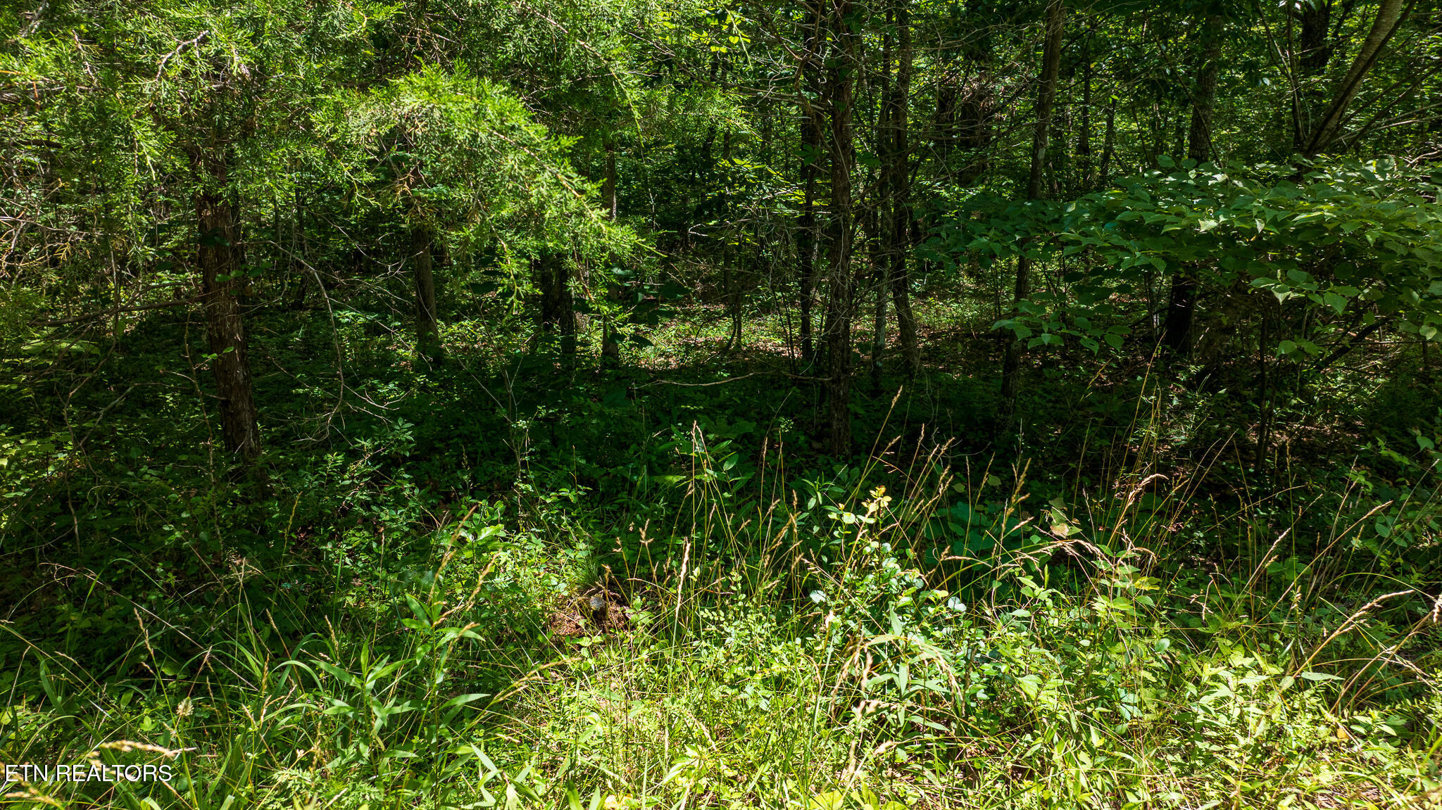 5011 Ostego Drive Crossville TN 38572