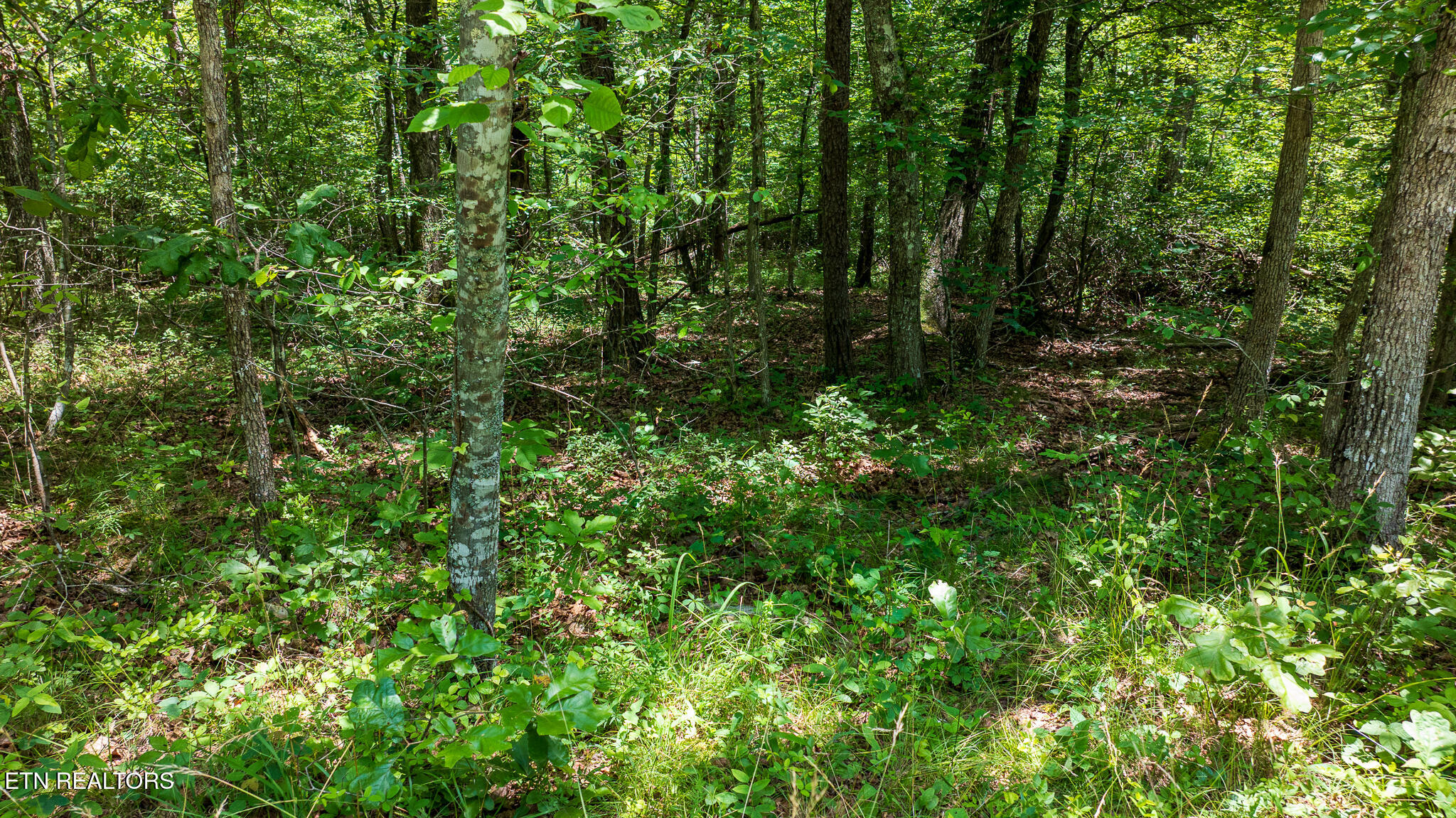 5011 Ostego Drive Crossville TN 38572