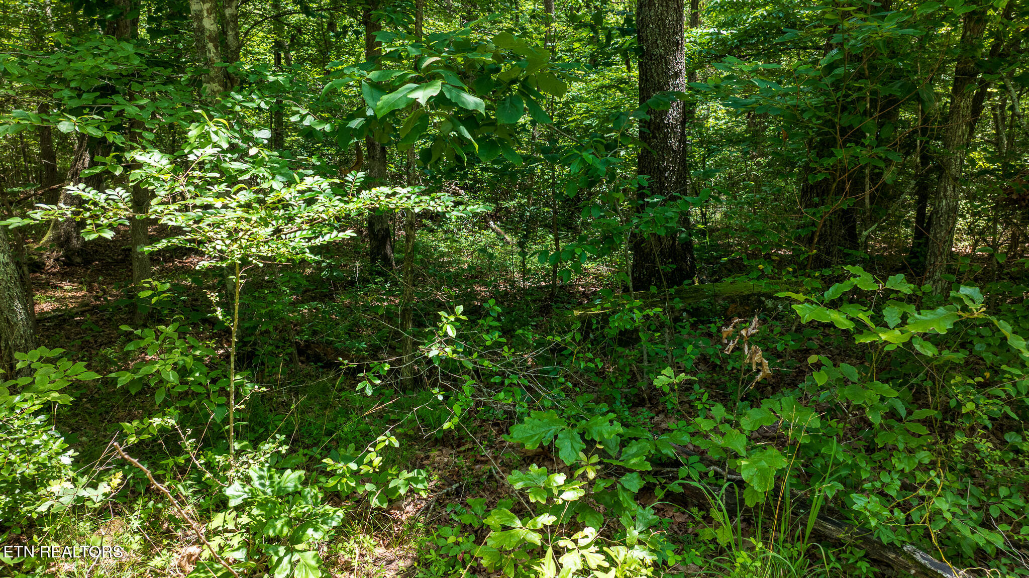 5011 Ostego Drive Crossville TN 38572