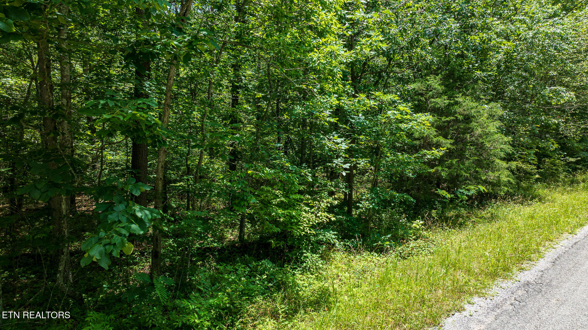 5011 Ostego Drive Crossville TN 38572