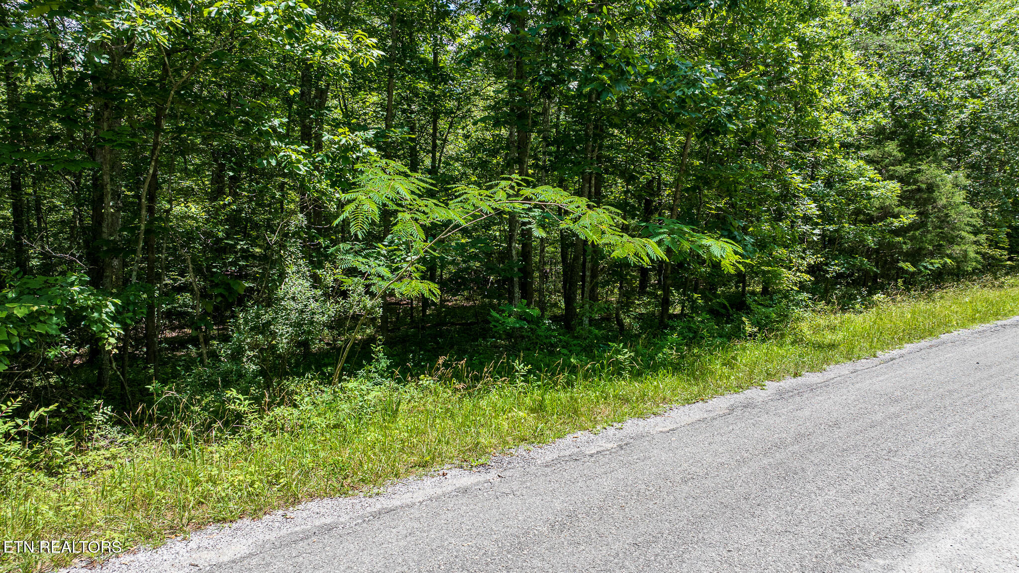 5011 Ostego Drive Crossville TN 38572