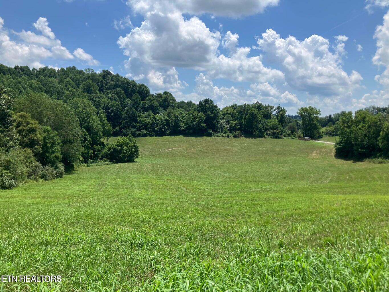 1502 Harmon Road New Tazewell TN 37825
