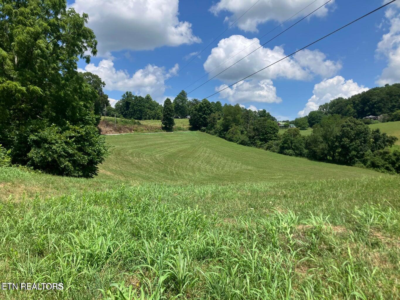 1502 Harmon Road New Tazewell TN 37825