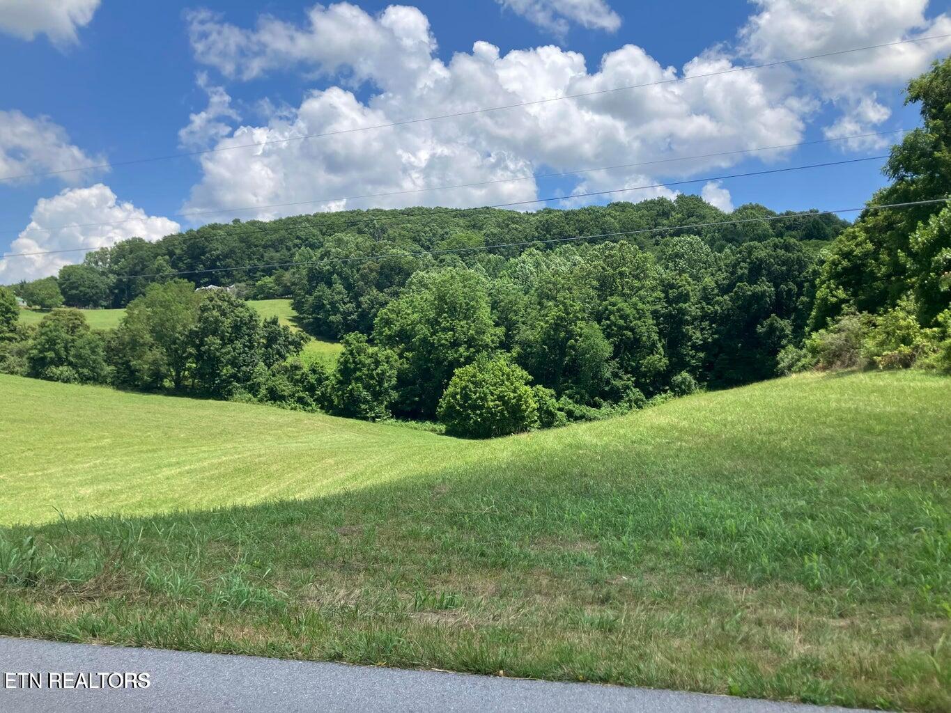 1502 Harmon Road New Tazewell TN 37825