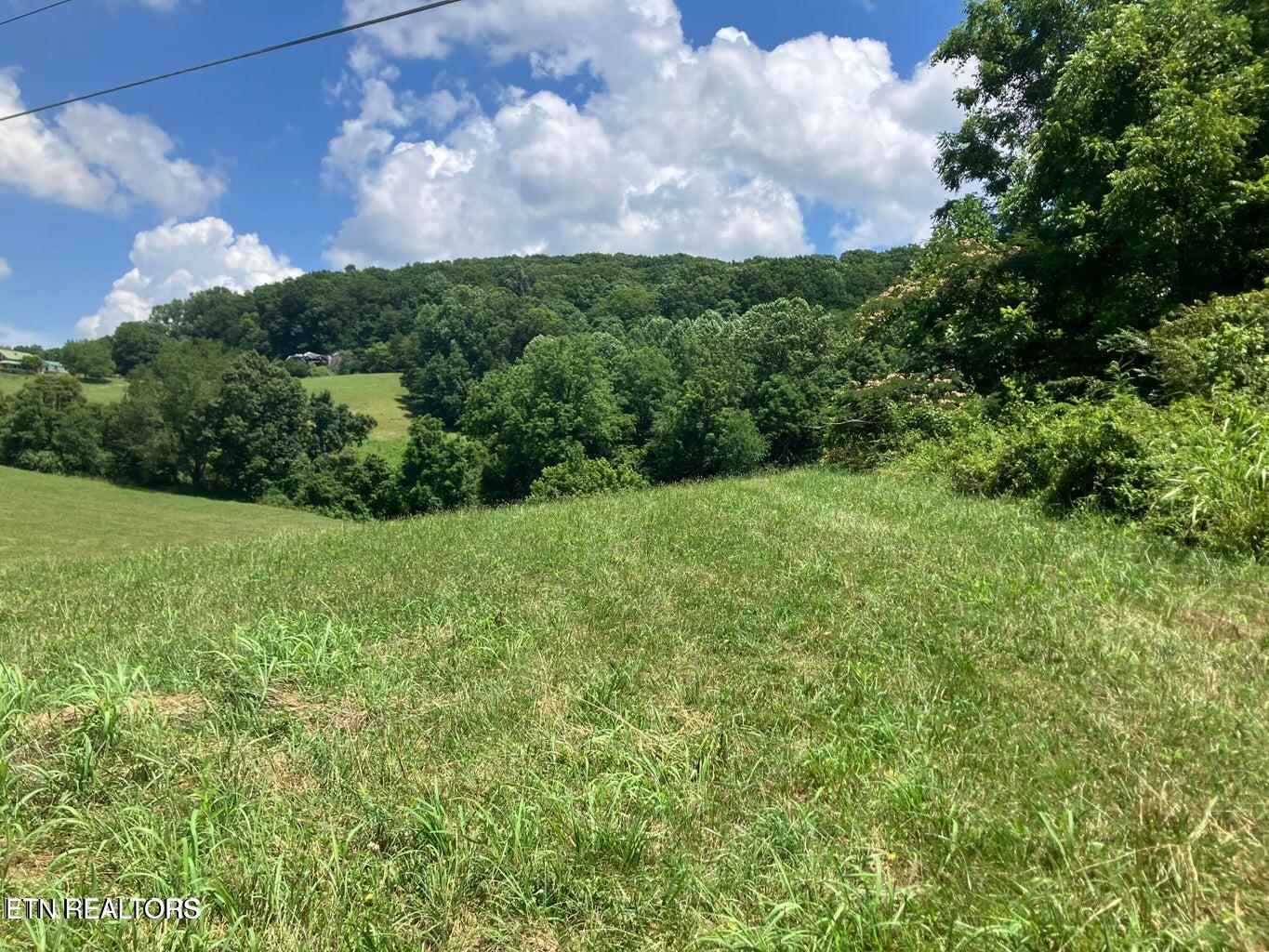 1502 Harmon Road New Tazewell TN 37825