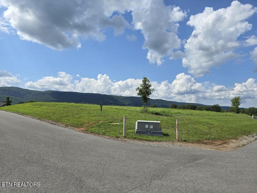 Farmview Way Dunlap TN 37327