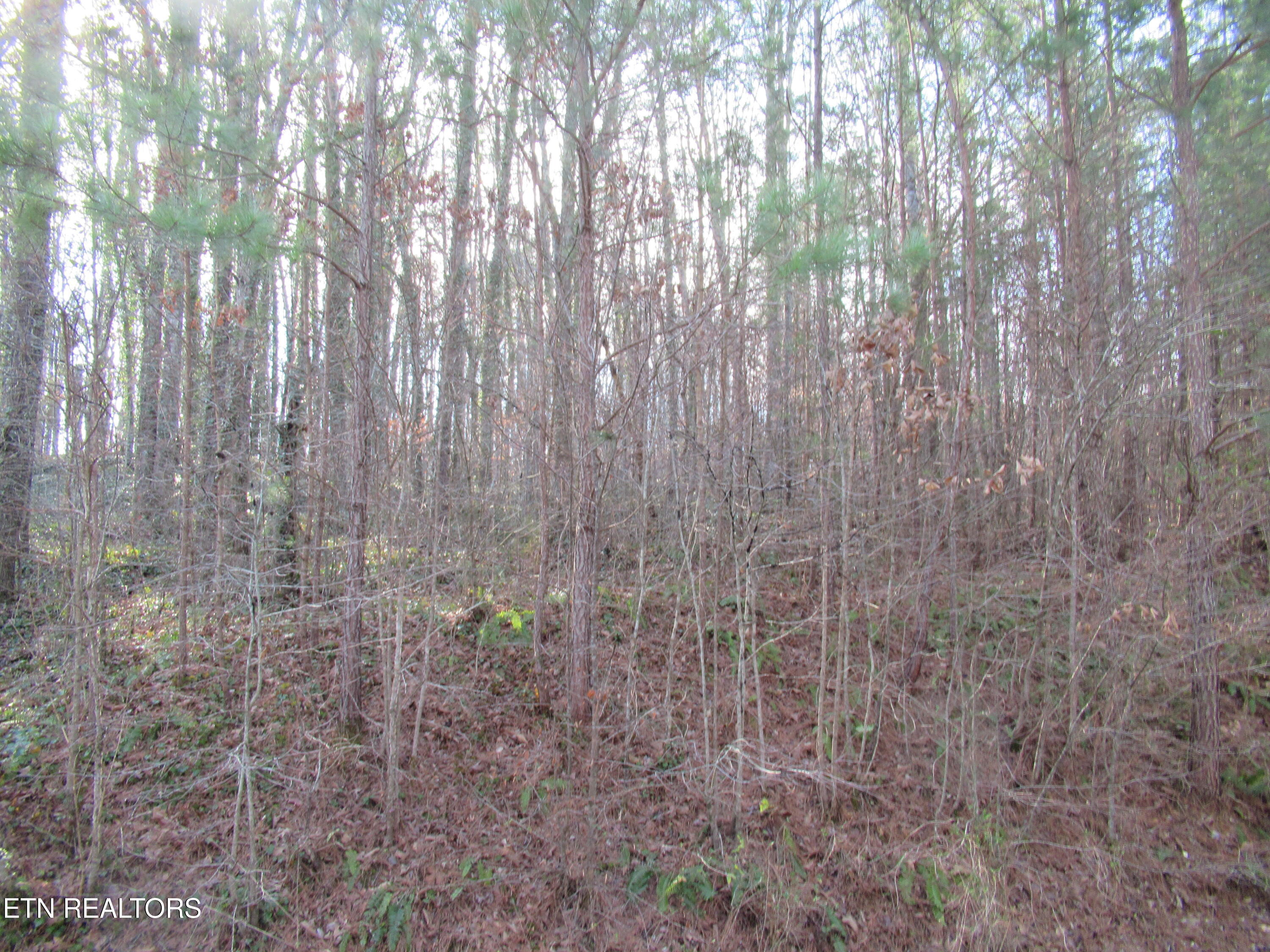 Tomotley Road Maryville TN 37801