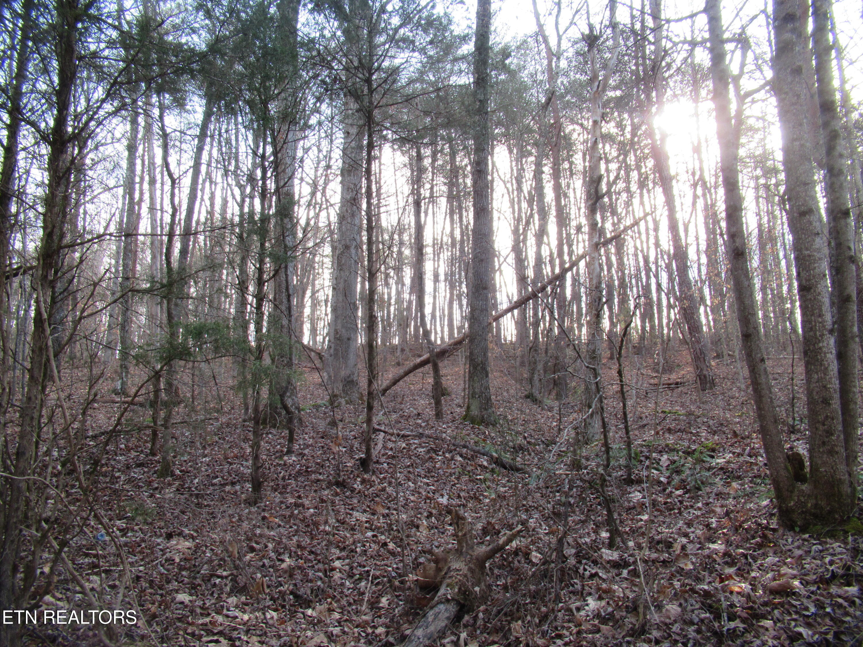 Tomotley Road Maryville TN 37801