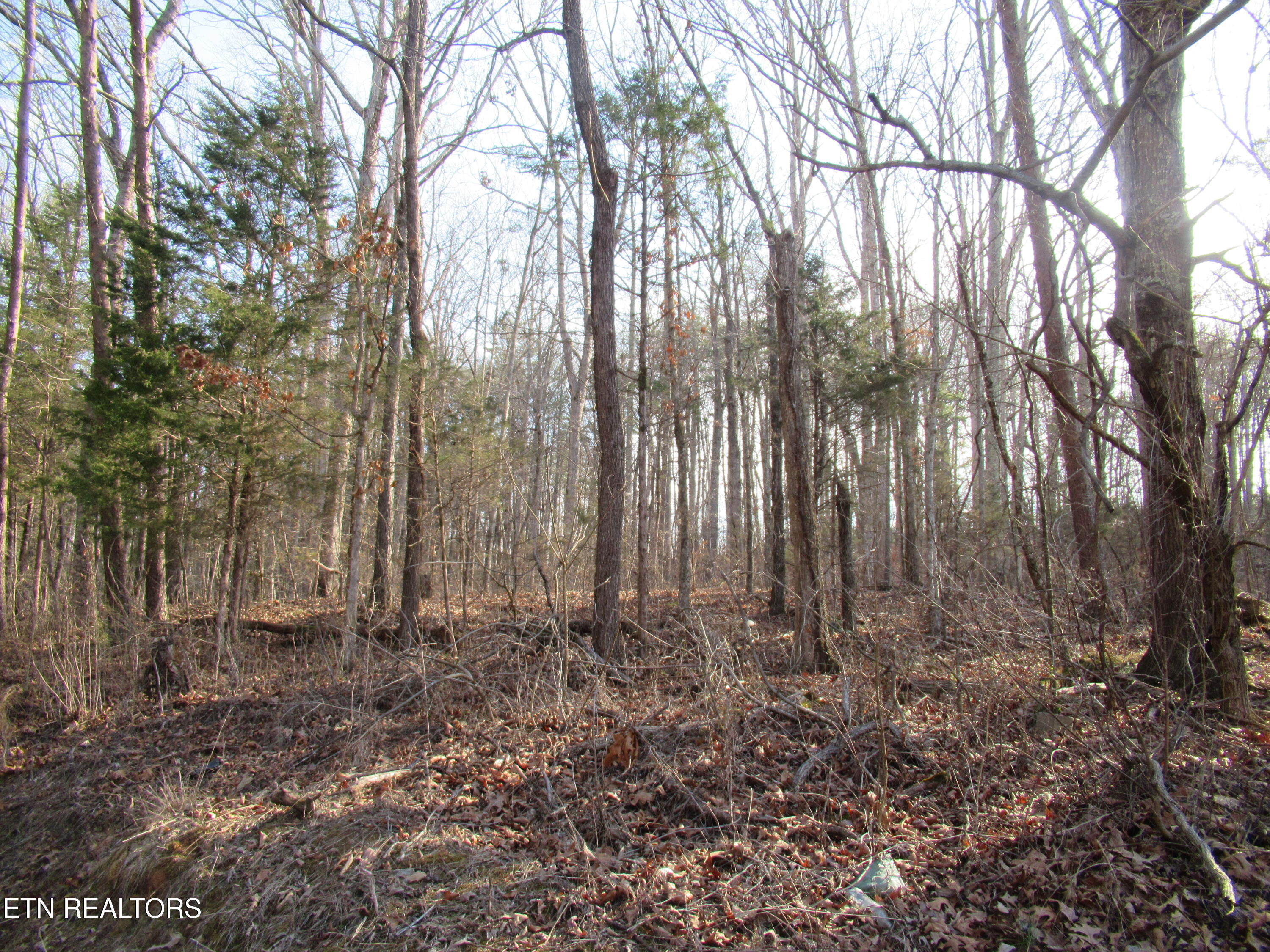 Tomotley Road Maryville TN 37801