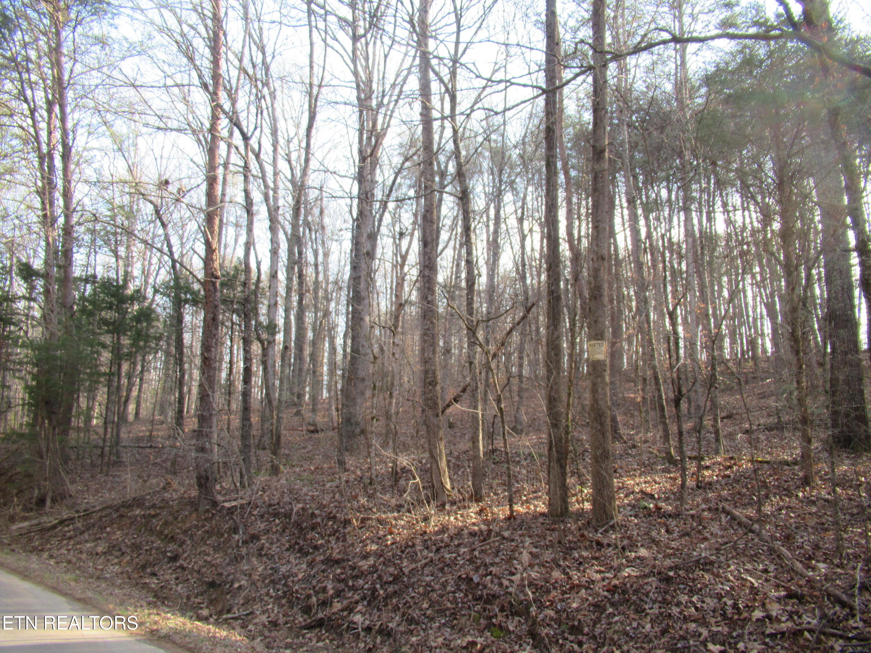 Tomotley Road Maryville TN 37801