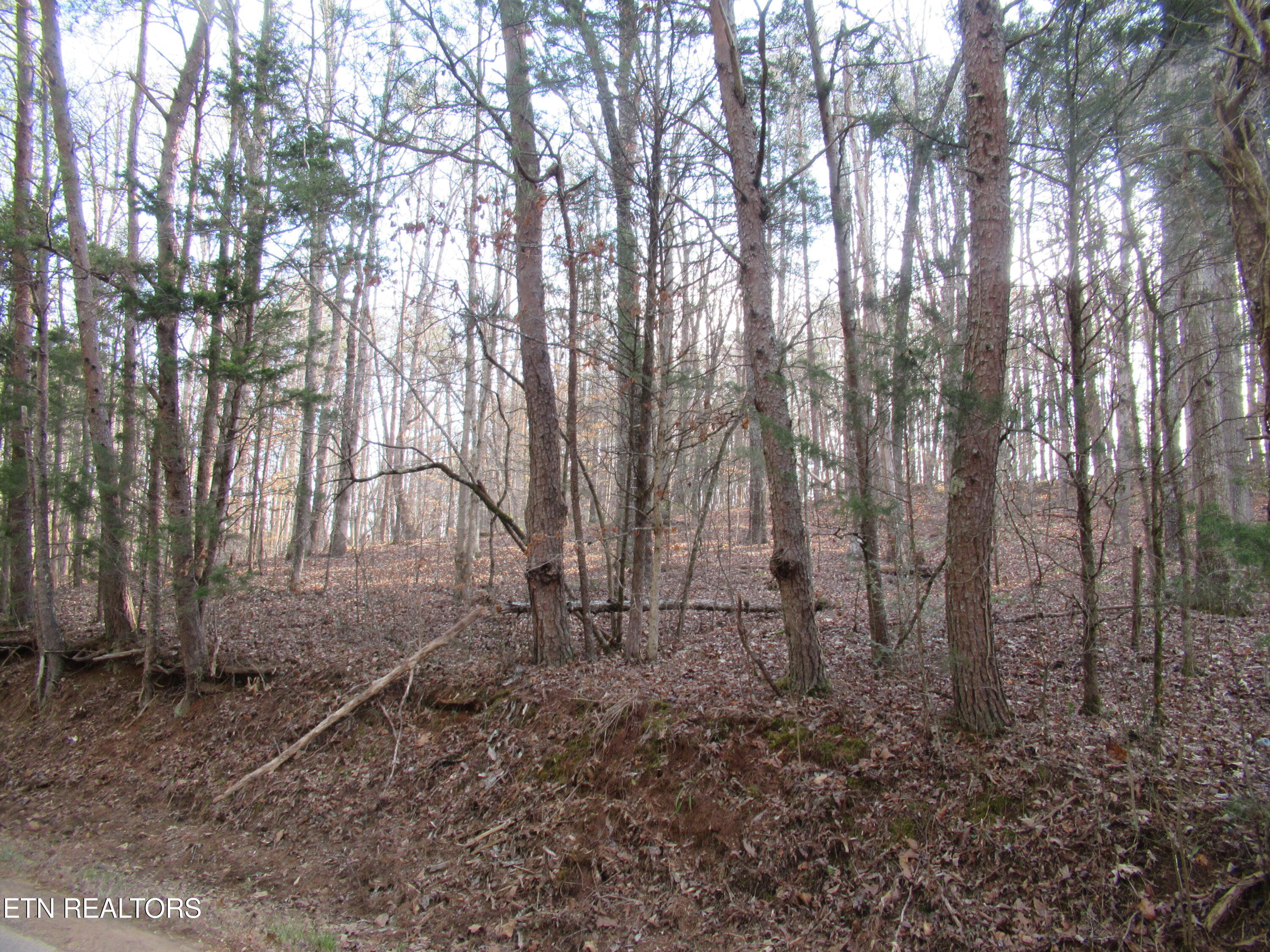 Tomotley Road Maryville TN 37801