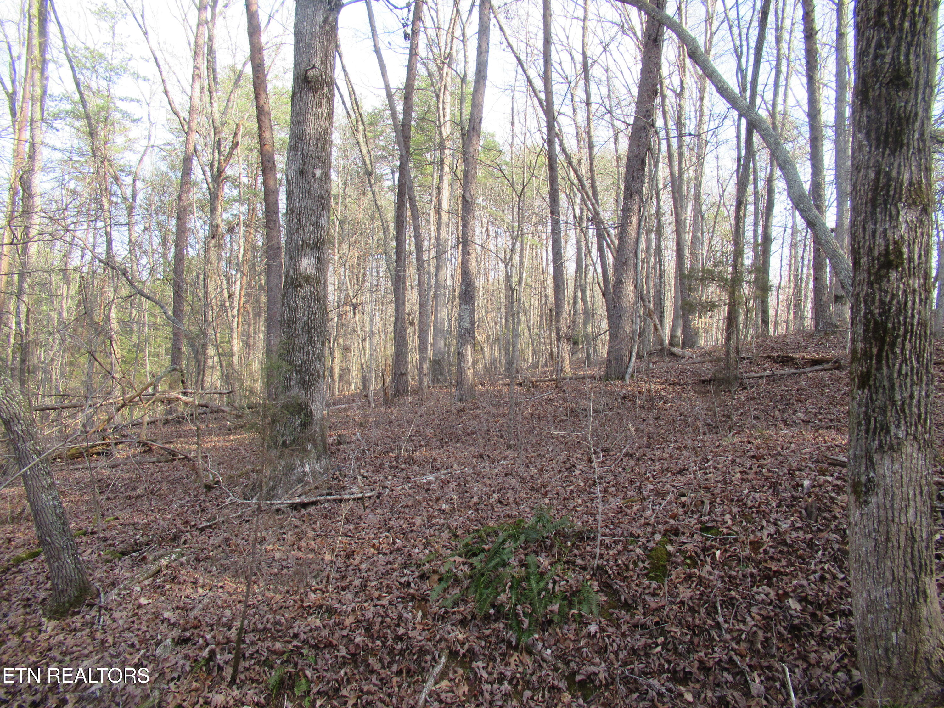 Tomotley Road Maryville TN 37801