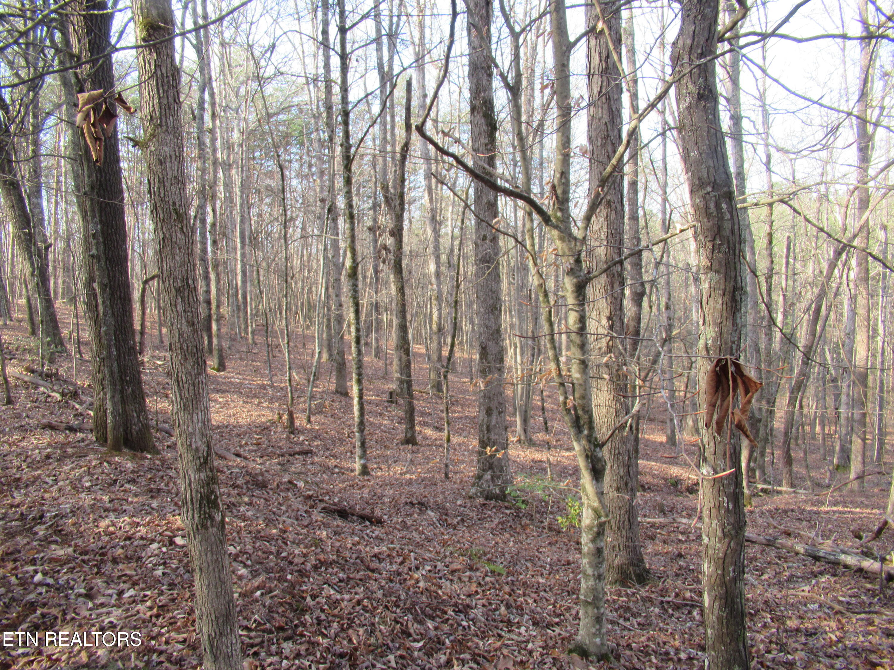 Tomotley Road Maryville TN 37801