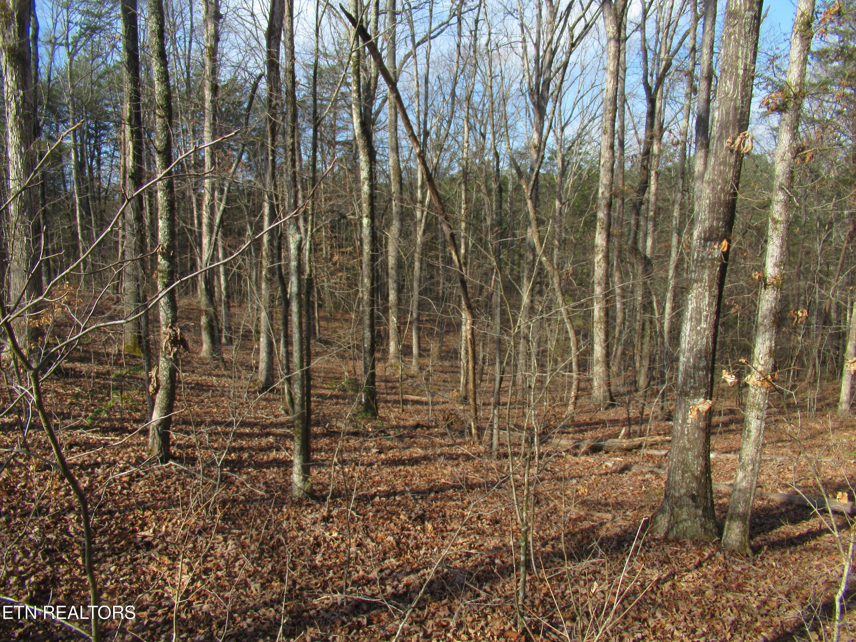 Tomotley Road Maryville TN 37801