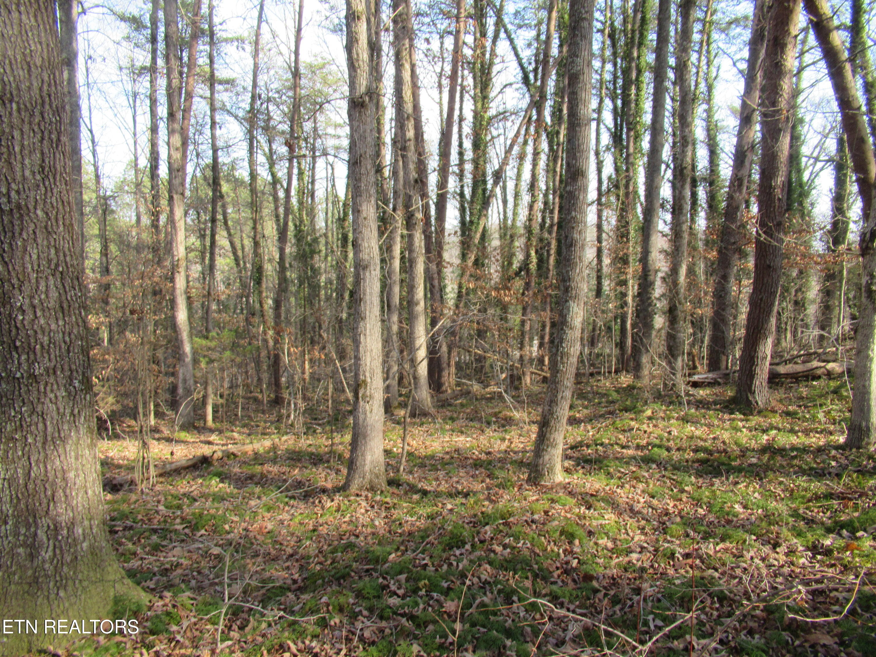 Tomotley Road Maryville TN 37801