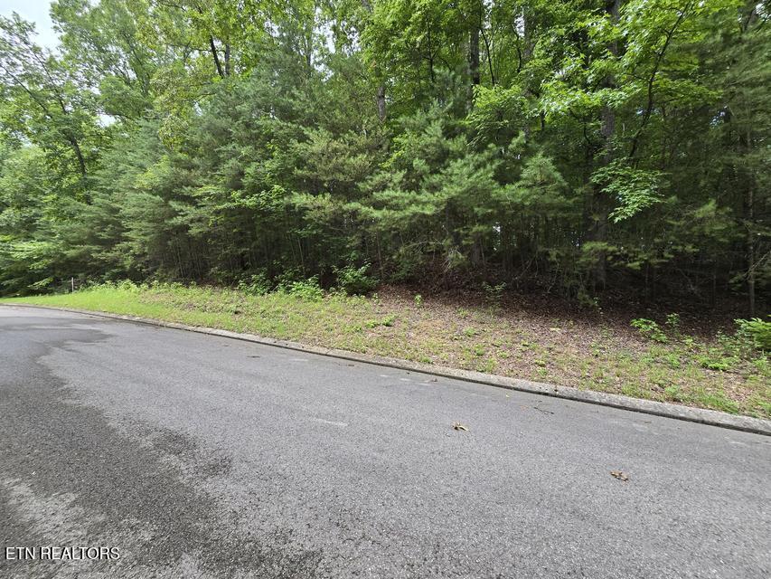 Lot 134 Lower Brow Road Dunlap TN 37327