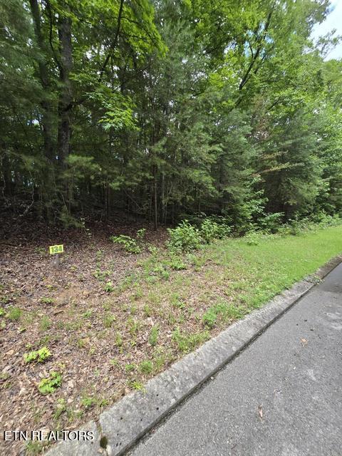 Lot 134 Lower Brow Road Dunlap TN 37327