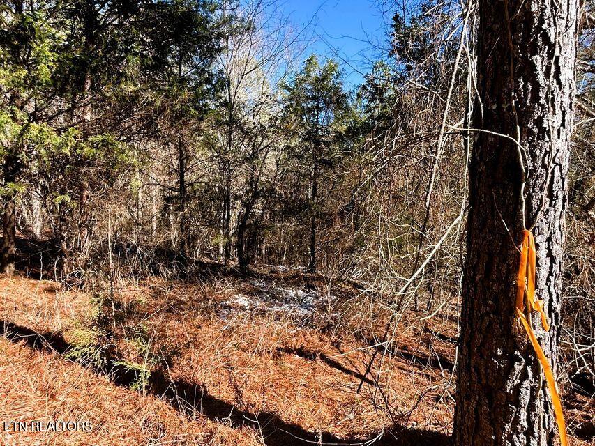 15.53AC Redman Ridge Lane Decatur TN 37322