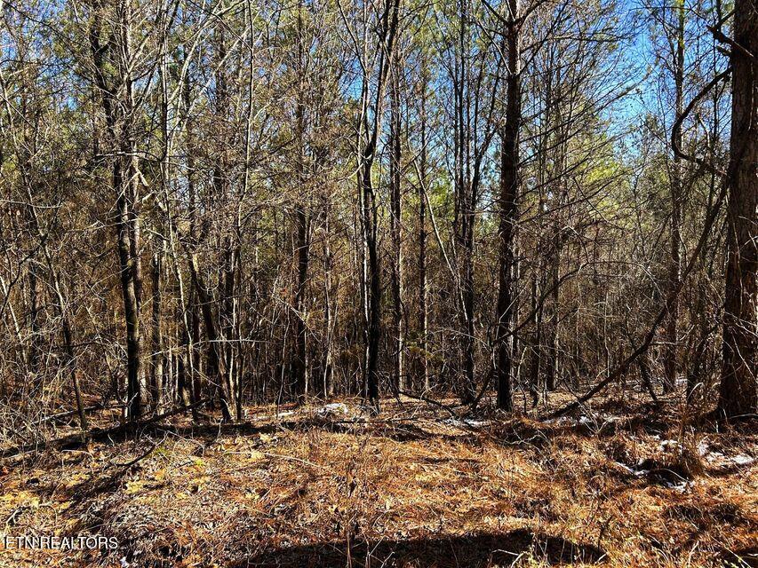 15.53AC Redman Ridge Lane Decatur TN 37322