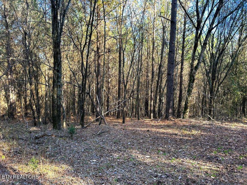 15.53AC Redman Ridge Lane Decatur TN 37322
