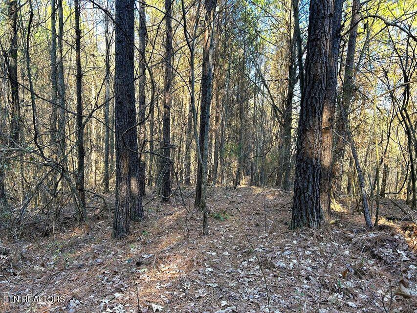 15.53AC Redman Ridge Lane Decatur TN 37322