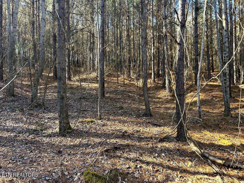 15.53AC Redman Ridge Lane Decatur TN 37322