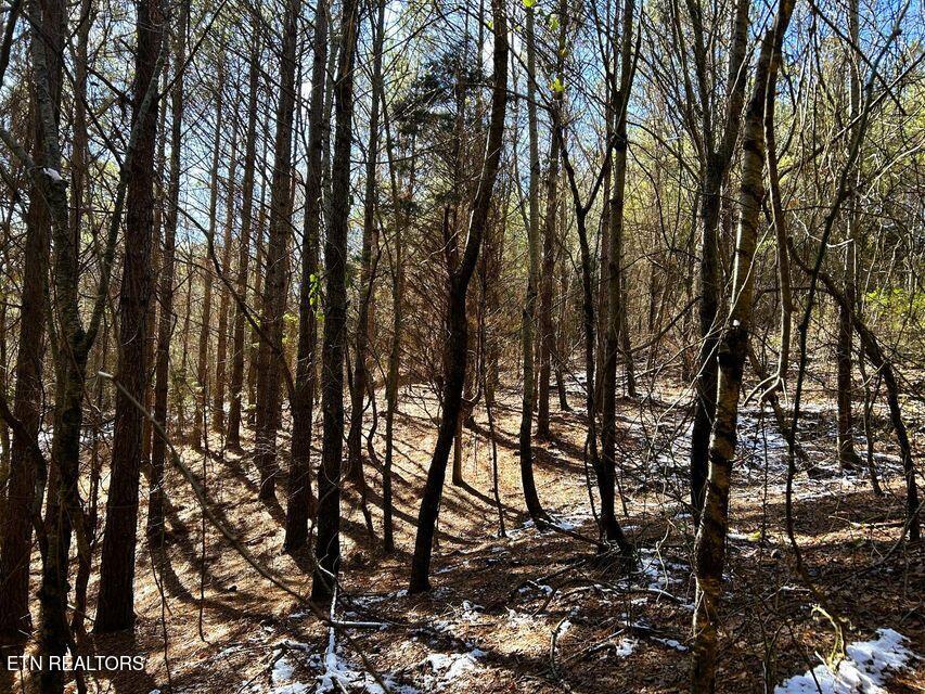 15.53AC Redman Ridge Lane Decatur TN 37322