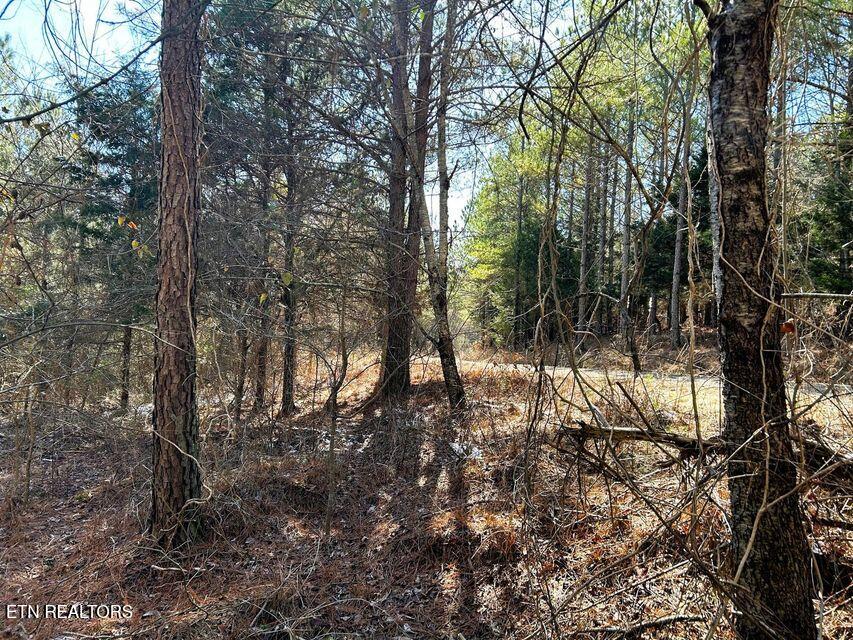 15.53AC Redman Ridge Lane Decatur TN 37322