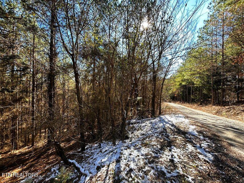 15.53AC Redman Ridge Lane Decatur TN 37322