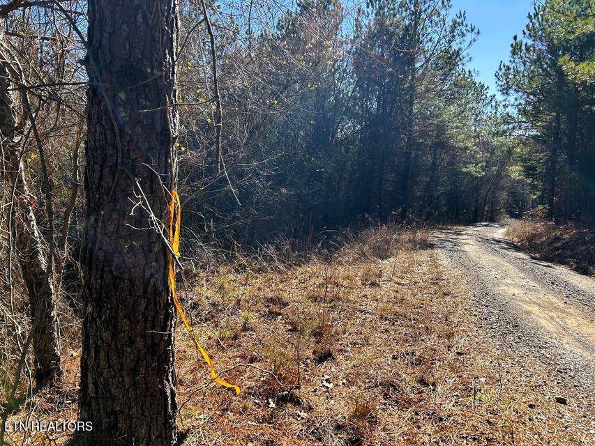 15.53AC Redman Ridge Lane Decatur TN 37322