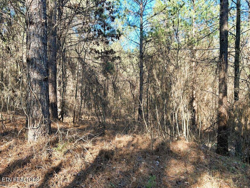 15.53AC Redman Ridge Lane Decatur TN 37322