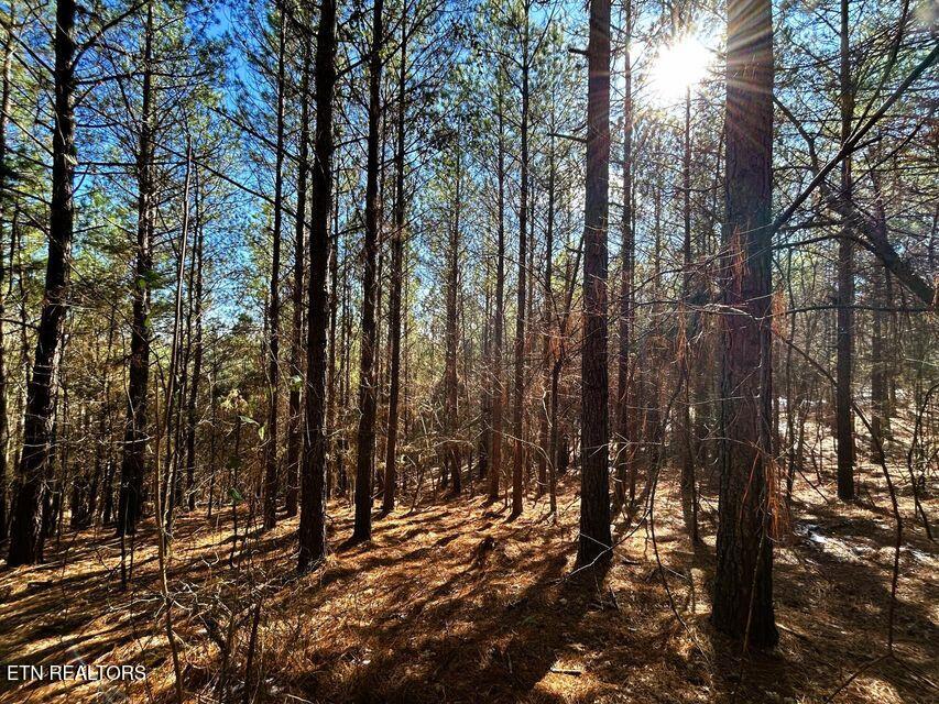 15.53AC Redman Ridge Lane Decatur TN 37322