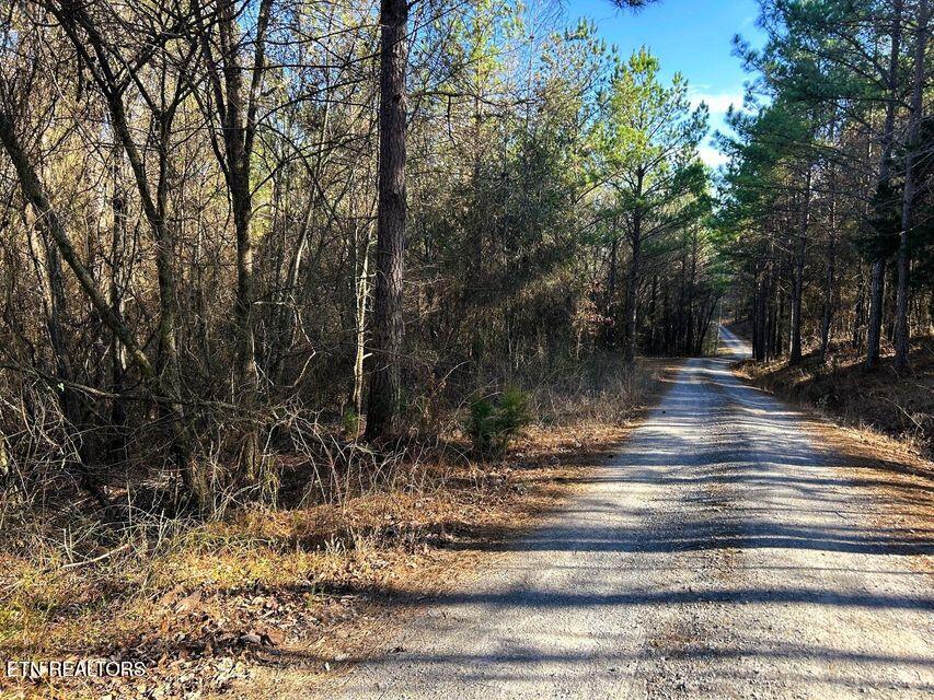 15.53AC Redman Ridge Lane Decatur TN 37322