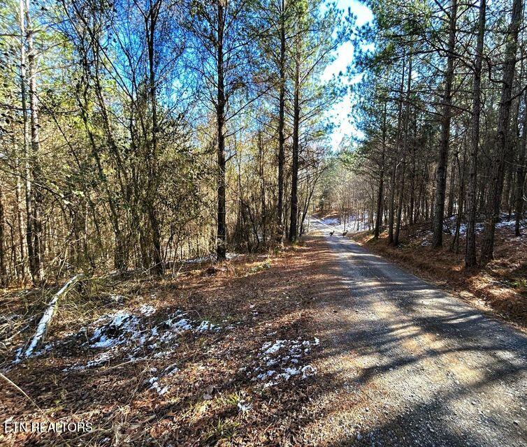 15.53AC Redman Ridge Lane Decatur TN 37322