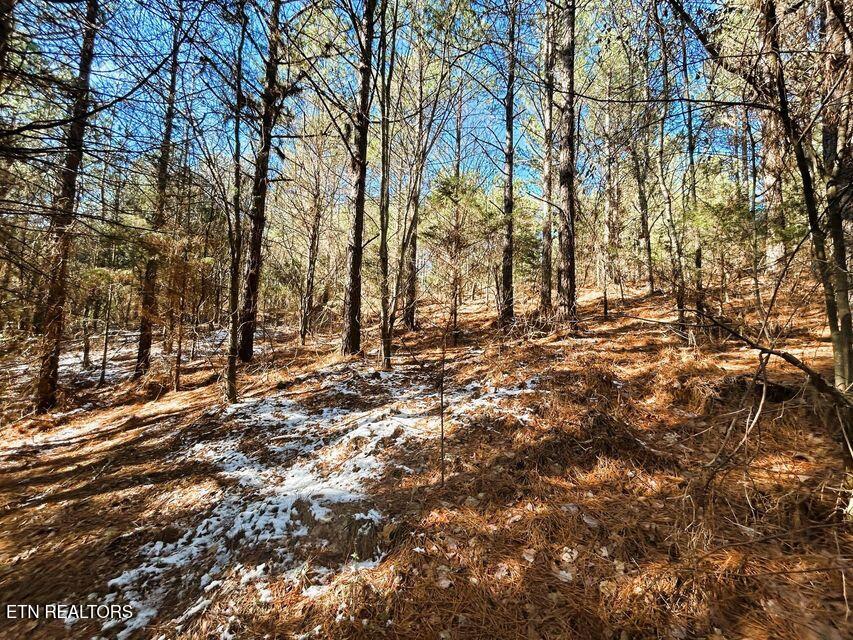15.53AC Redman Ridge Lane Decatur TN 37322