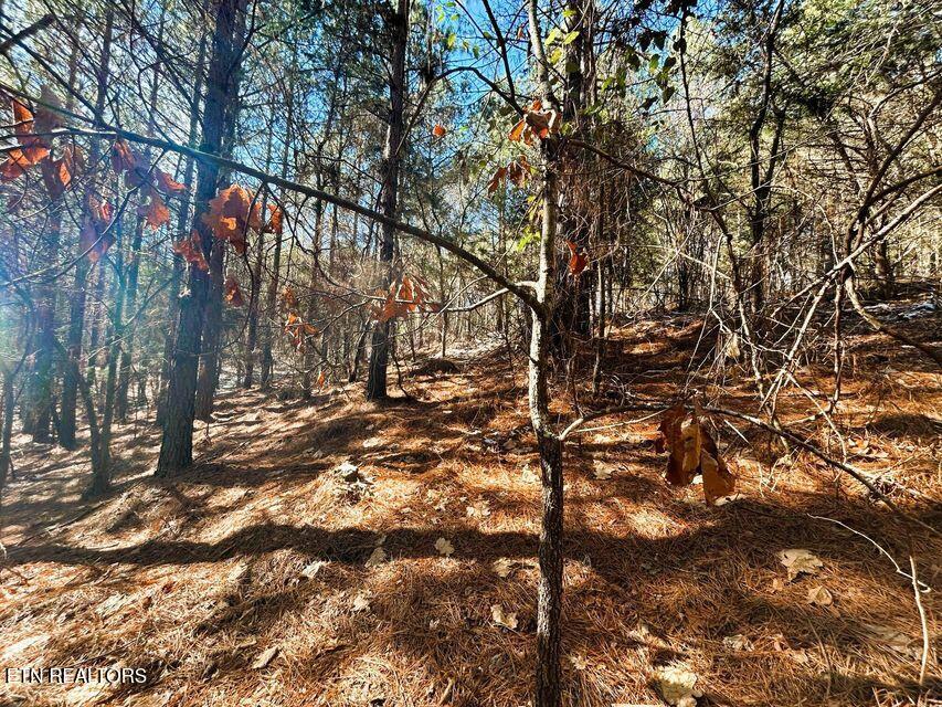 15.53AC Redman Ridge Lane Decatur TN 37322