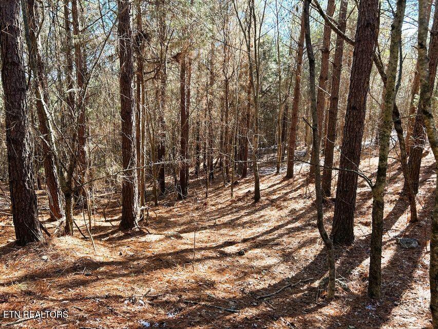15.53AC Redman Ridge Lane Decatur TN 37322