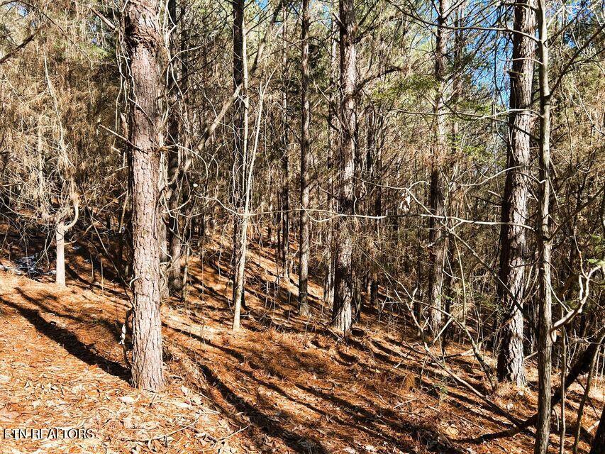 15.53AC Redman Ridge Lane Decatur TN 37322