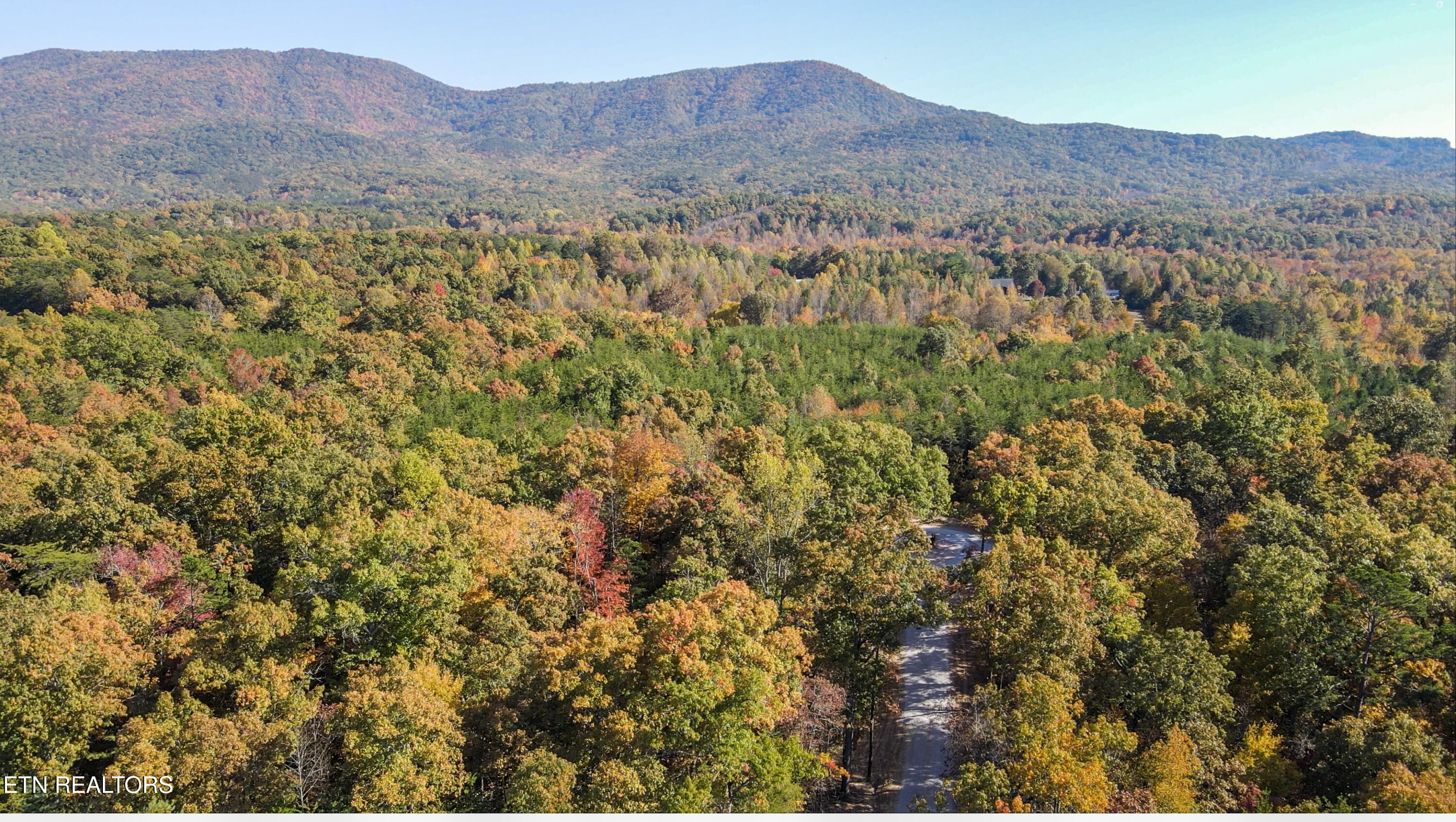 105 Cherokee Path Tellico Plains TN 37385