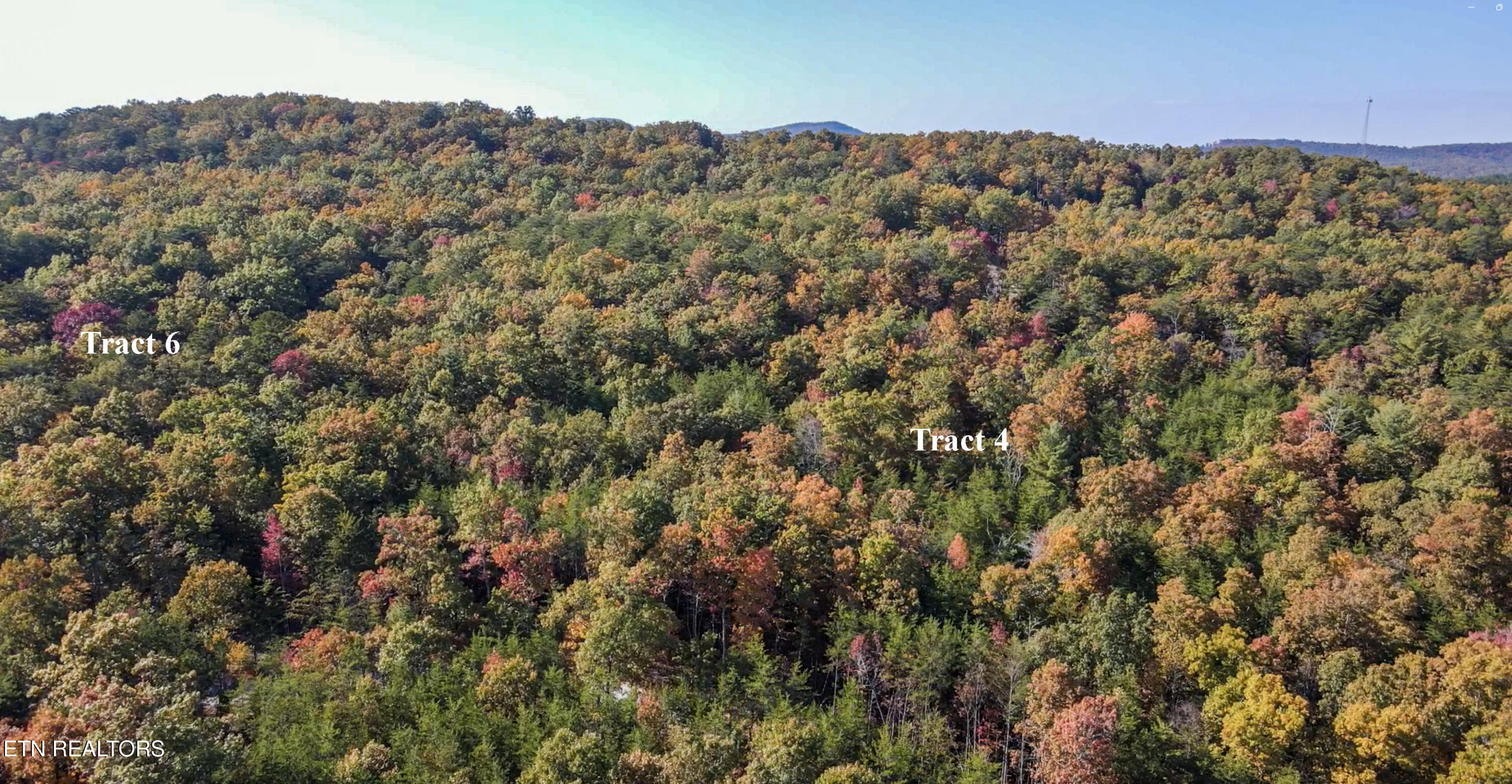 105 Cherokee Path Tellico Plains TN 37385