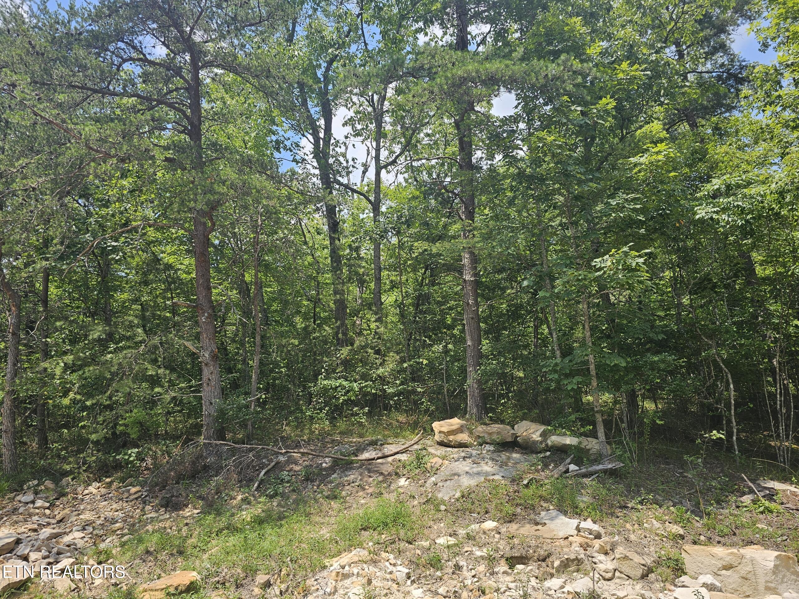 371 St. George Drive Crossville TN 38558