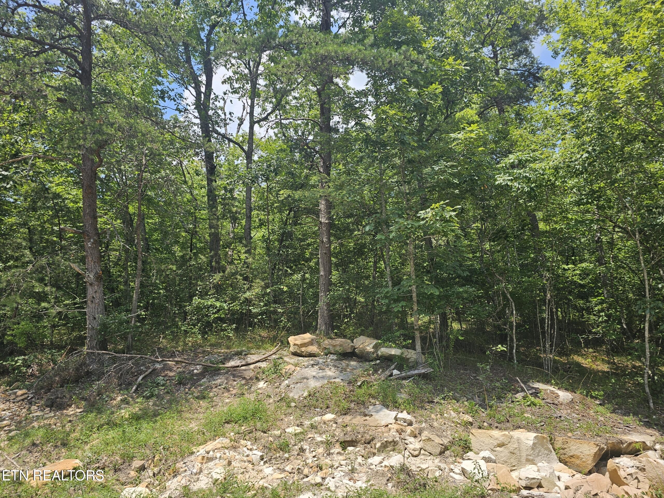 371 St. George Drive Crossville TN 38558