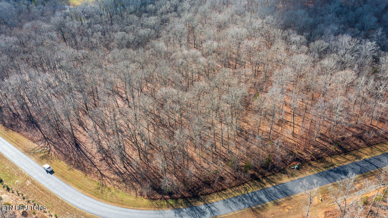 Lot 323 W Mountain Drive Rockwood TN 37854