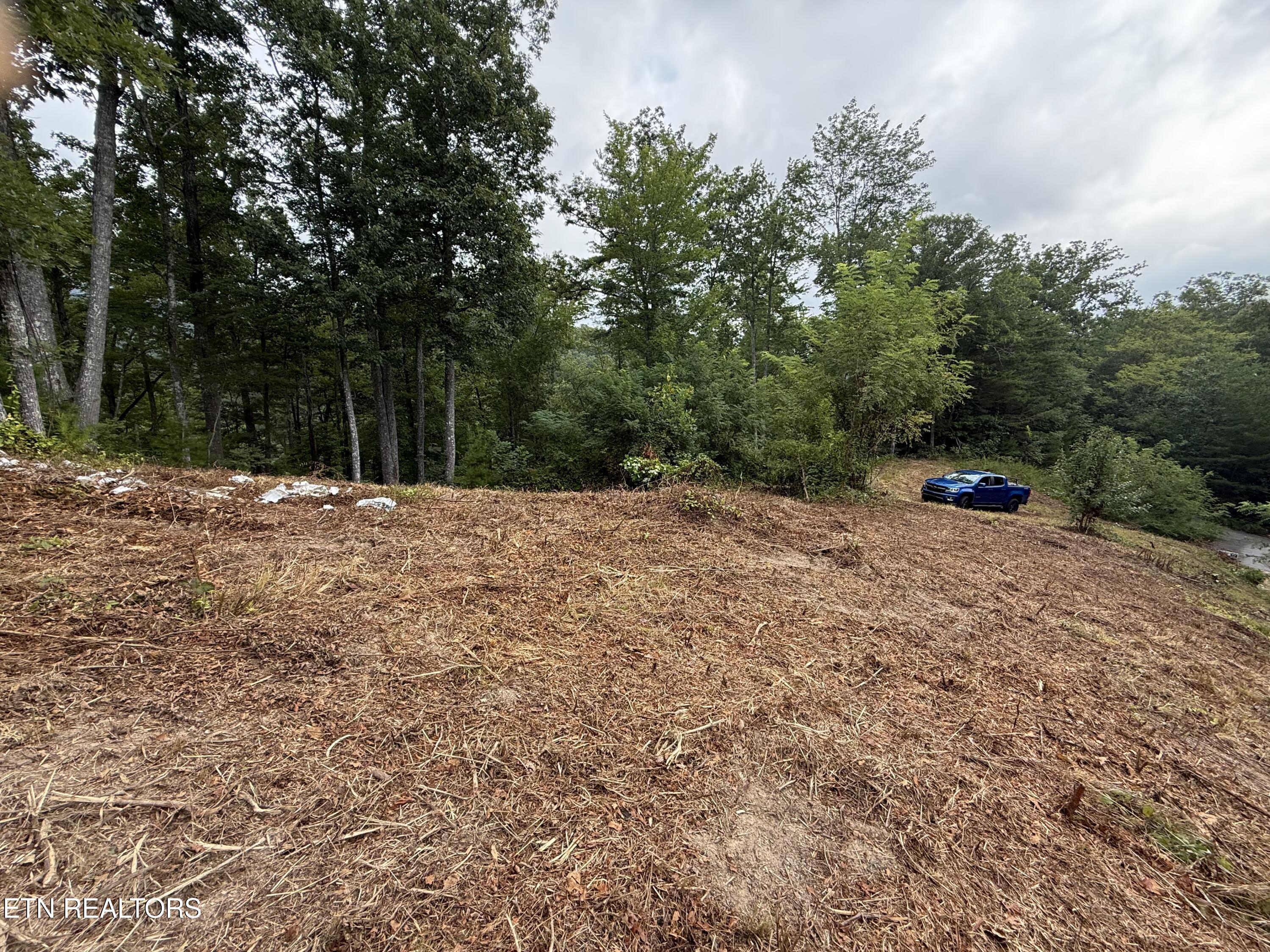 Lot 108 Smoky Vista Way Sevierville TN 37876