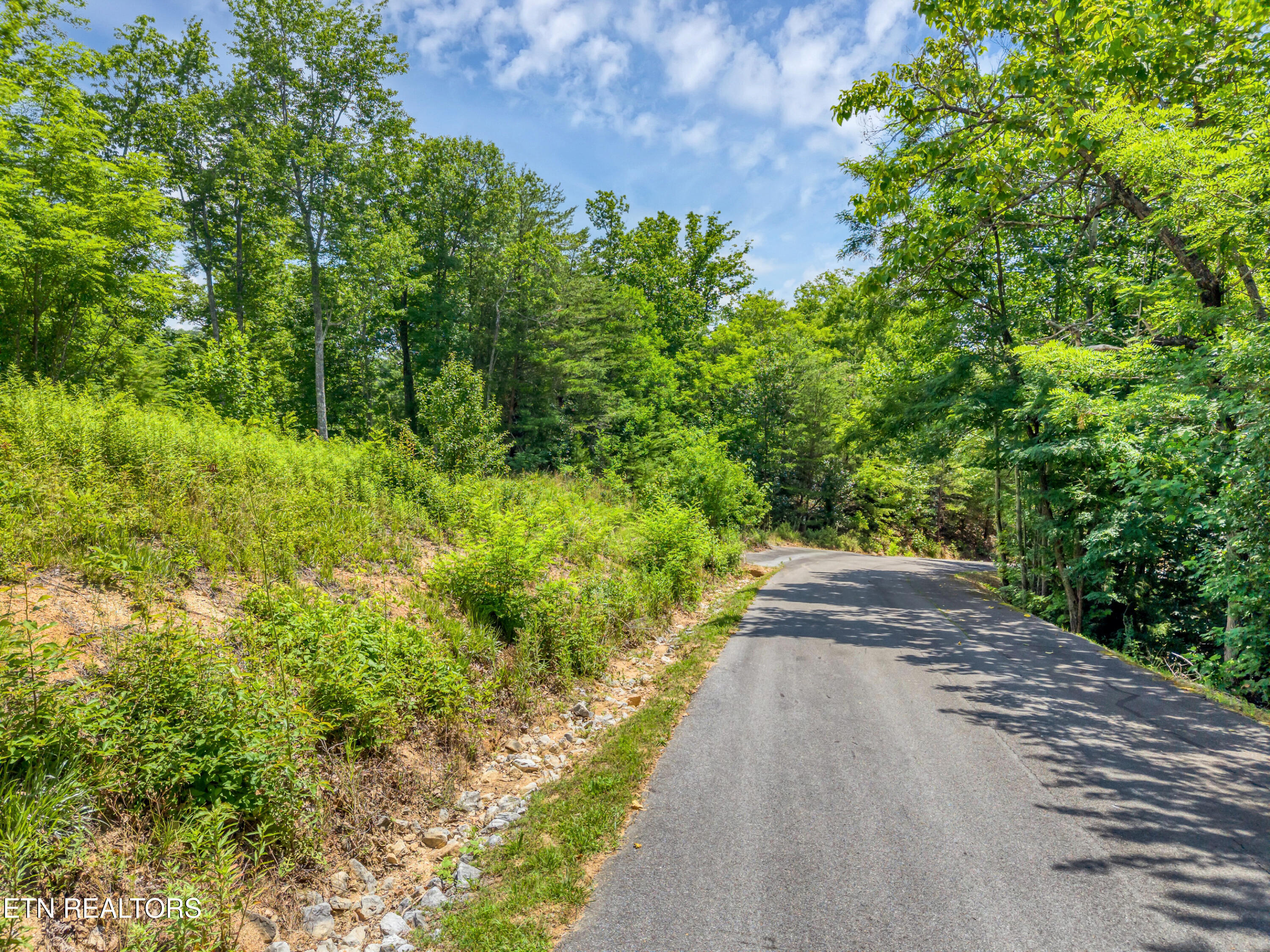 Lot 108 Smoky Vista Way Sevierville TN 37876