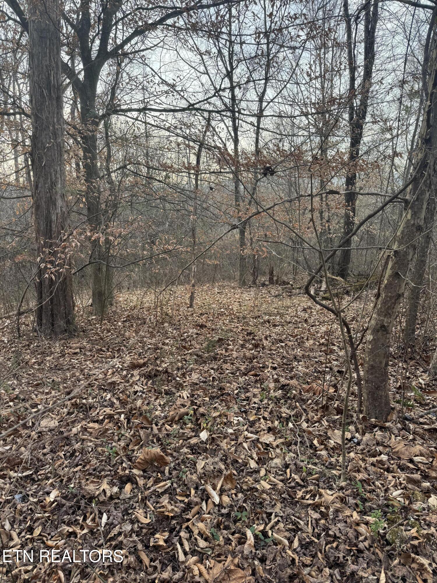 247 Mahoney Road Oliver Springs TN 37840