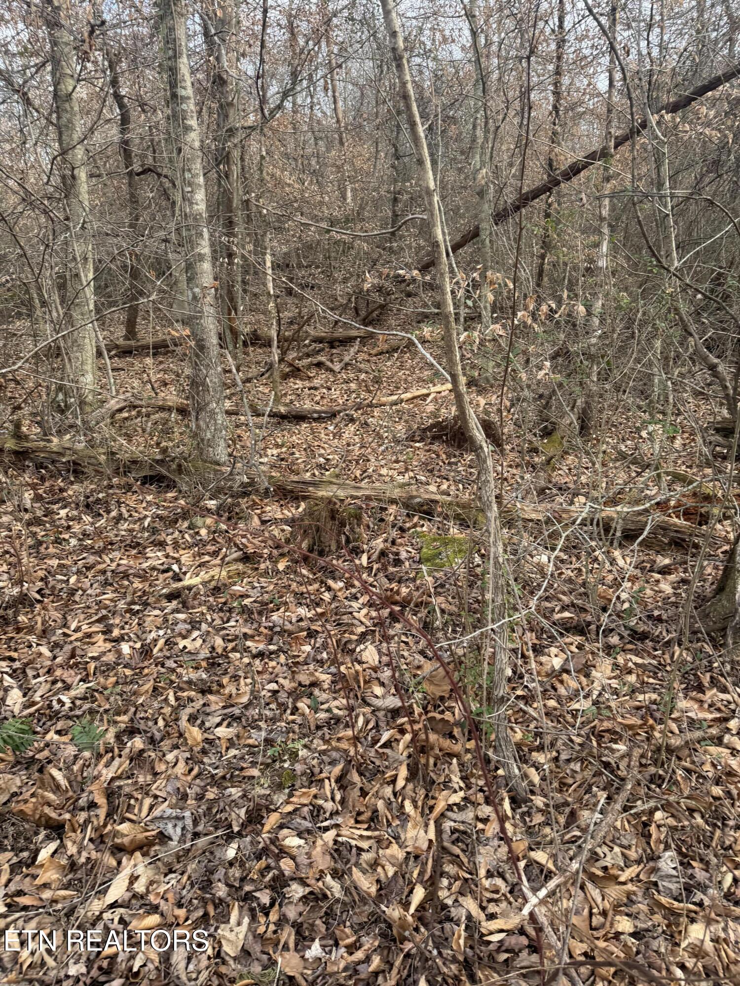 247 Mahoney Road Oliver Springs TN 37840